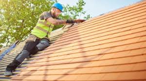 Best Roof Moss and Algae Removal  in Stallings, NC